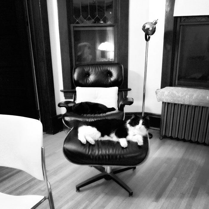 Sunday Cat Picture: 10/21/2012