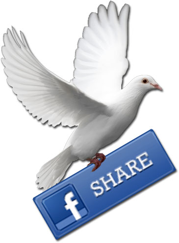 Partakers of the Holy Spirit